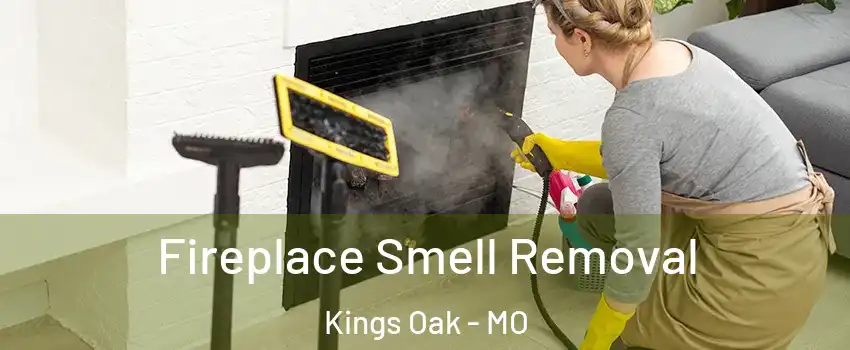 Fireplace Smell Removal Kings Oak - MO