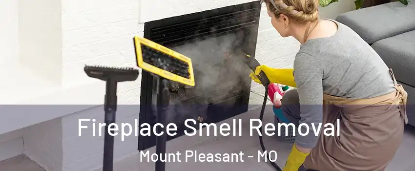 Fireplace Smell Removal Mount Pleasant - MO