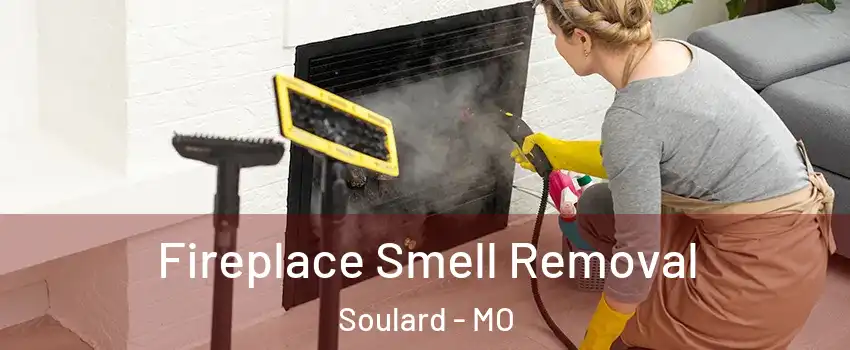 Fireplace Smell Removal Soulard - MO