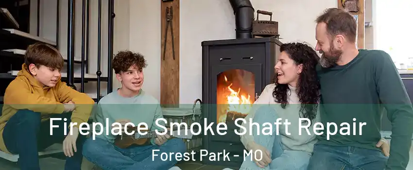 Fireplace Smoke Shaft Repair Forest Park - MO