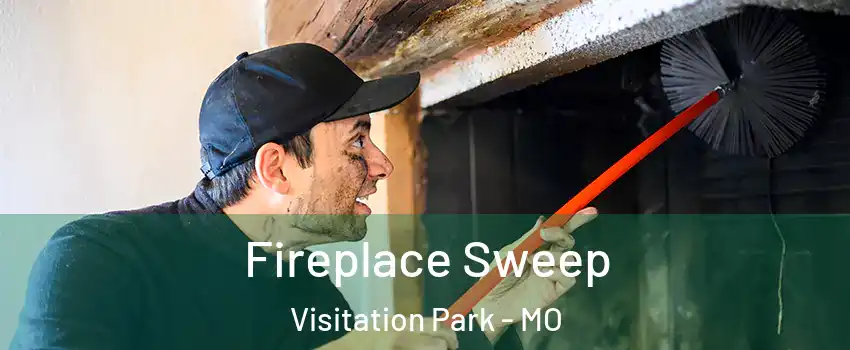 Fireplace Sweep Visitation Park - MO