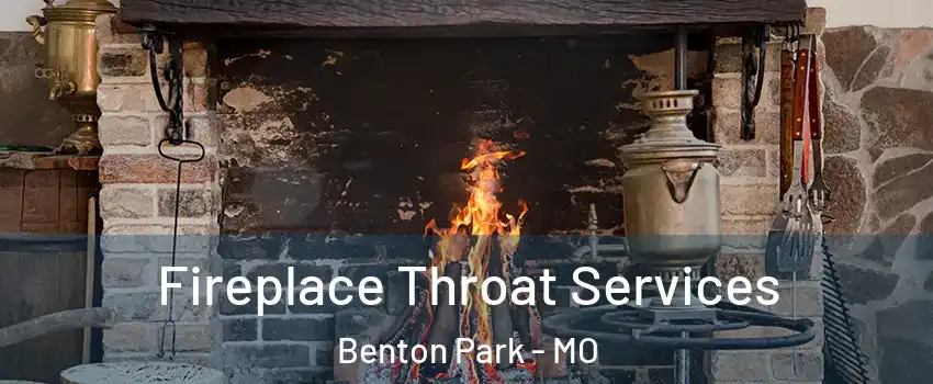 Fireplace Throat Services Benton Park - MO