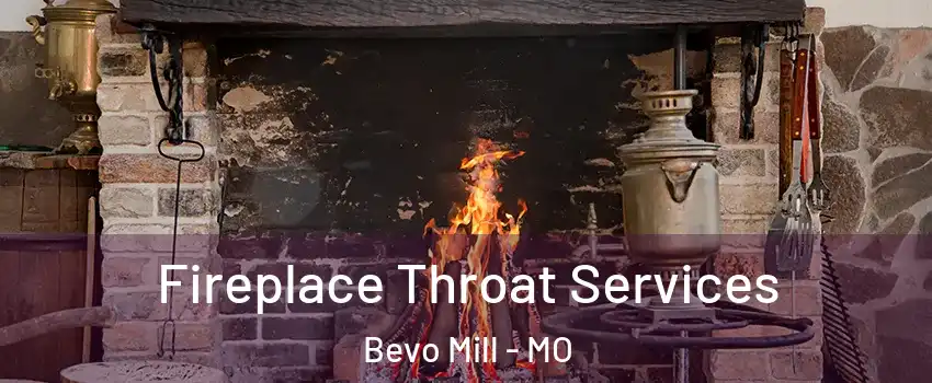 Fireplace Throat Services Bevo Mill - MO