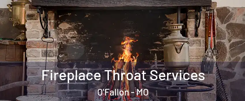 Fireplace Throat Services O'Fallon - MO