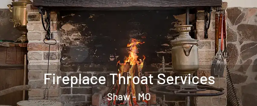 Fireplace Throat Services Shaw - MO