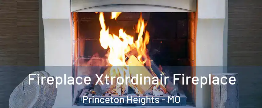 Fireplace Xtrordinair Fireplace Princeton Heights - MO