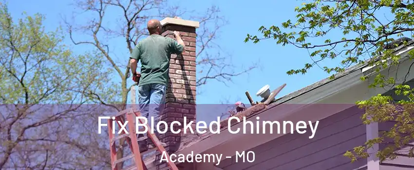 Fix Blocked Chimney Academy - MO