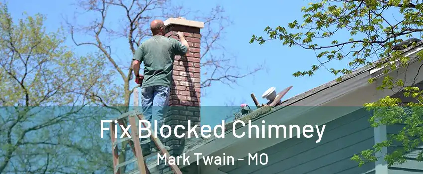 Fix Blocked Chimney Mark Twain - MO