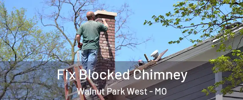 Fix Blocked Chimney Walnut Park West - MO