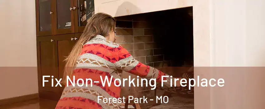 Fix Non-Working Fireplace Forest Park - MO