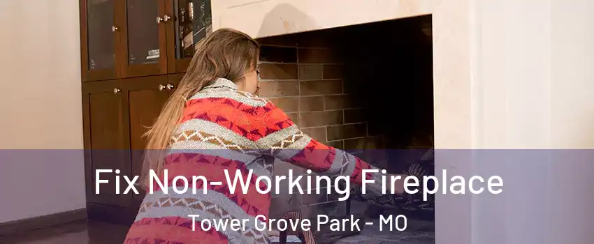 Fix Non-Working Fireplace Tower Grove Park - MO