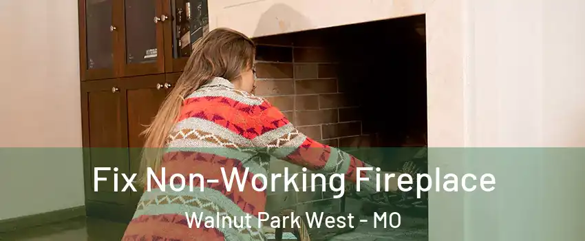 Fix Non-Working Fireplace Walnut Park West - MO