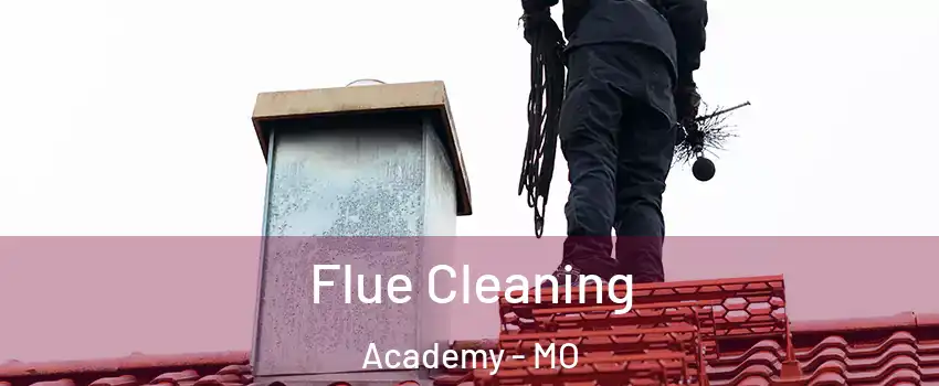 Flue Cleaning Academy - MO