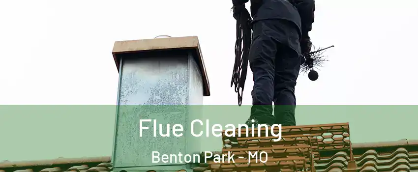 Flue Cleaning Benton Park - MO