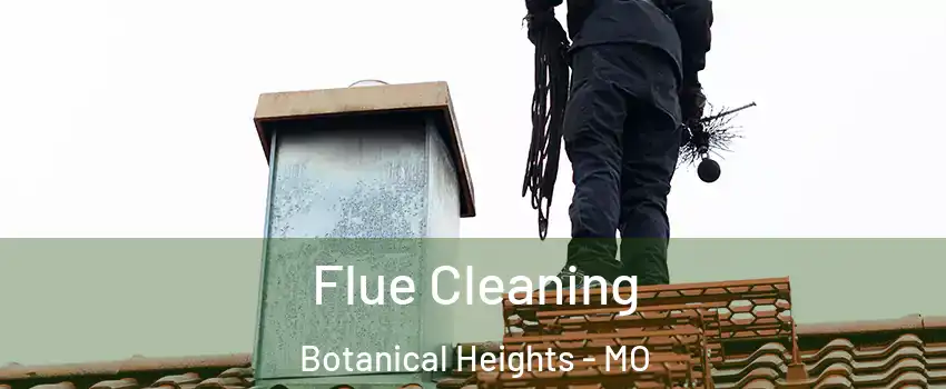 Flue Cleaning Botanical Heights - MO