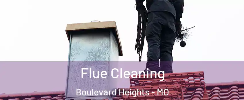 Flue Cleaning Boulevard Heights - MO