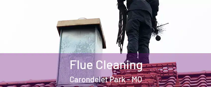 Flue Cleaning Carondelet Park - MO