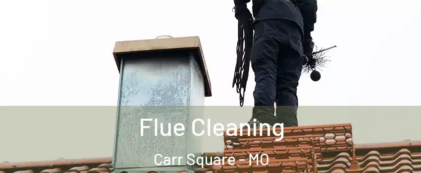 Flue Cleaning Carr Square - MO