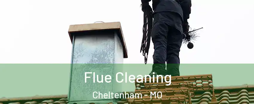 Flue Cleaning Cheltenham - MO