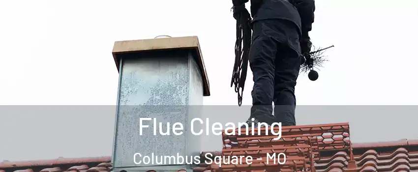 Flue Cleaning Columbus Square - MO