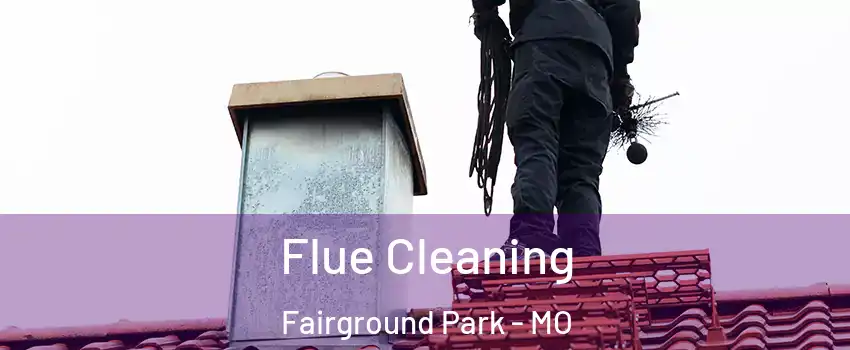 Flue Cleaning Fairground Park - MO