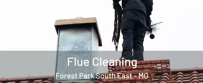 Flue Cleaning Forest Park South East - MO