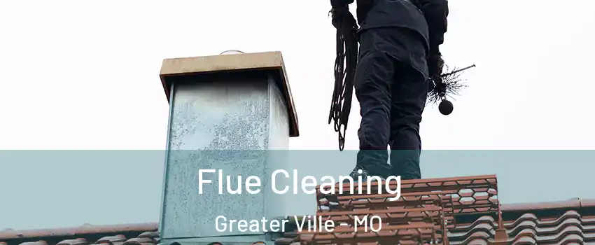 Flue Cleaning Greater Ville - MO