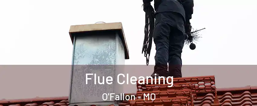 Flue Cleaning O'Fallon - MO