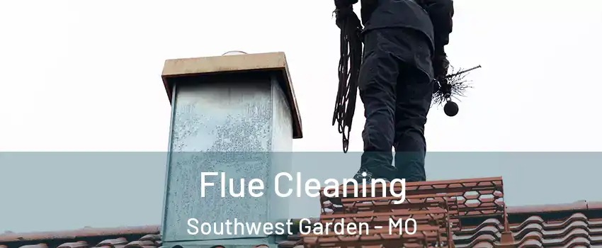 Flue Cleaning Southwest Garden - MO