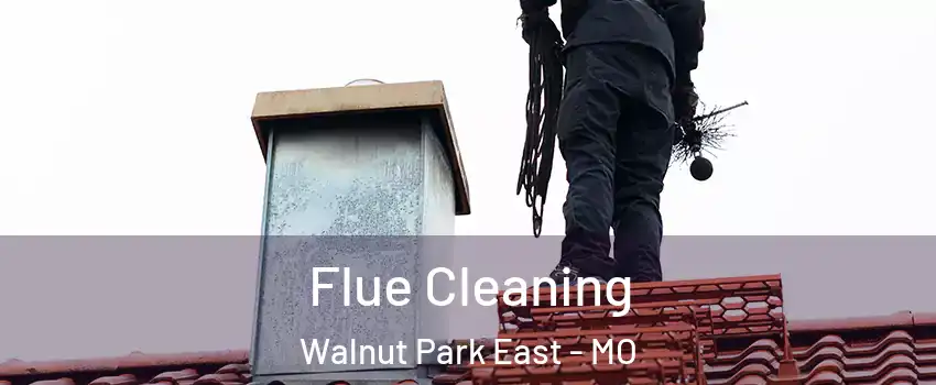 Flue Cleaning Walnut Park East - MO