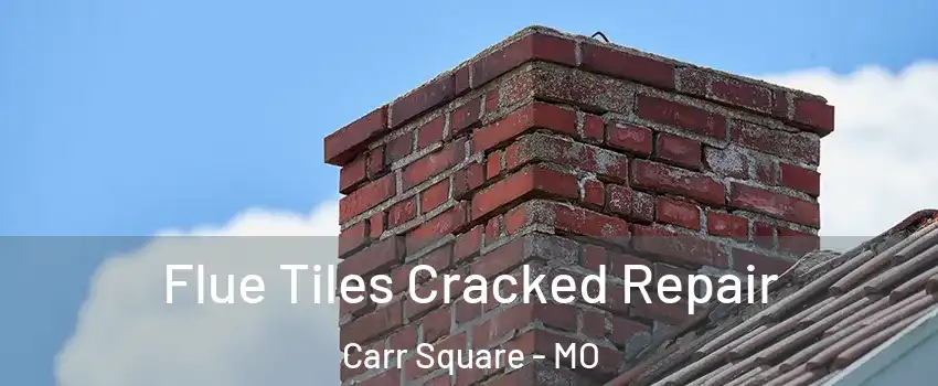 Flue Tiles Cracked Repair Carr Square - MO