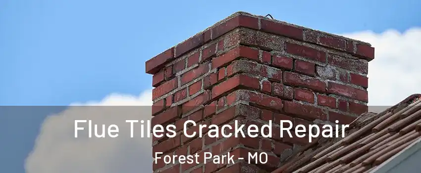 Flue Tiles Cracked Repair Forest Park - MO