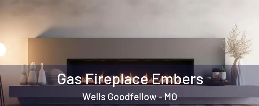 Gas Fireplace Embers Wells Goodfellow - MO