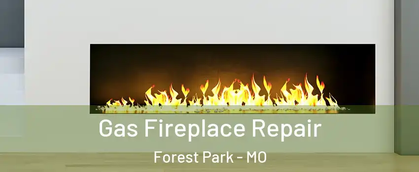 Gas Fireplace Repair Forest Park - MO