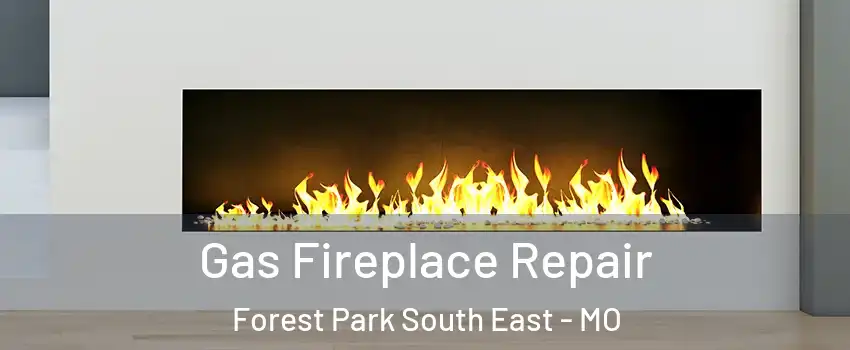 Gas Fireplace Repair Forest Park South East - MO