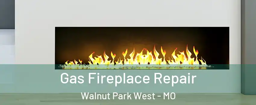 Gas Fireplace Repair Walnut Park West - MO