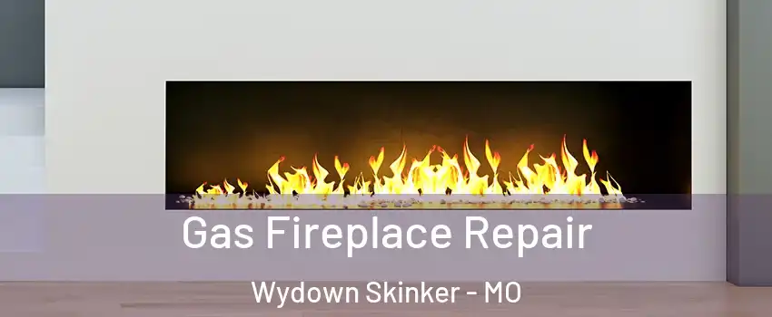 Gas Fireplace Repair Wydown Skinker - MO