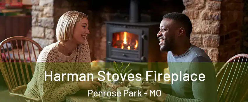 Harman Stoves Fireplace Penrose Park - MO