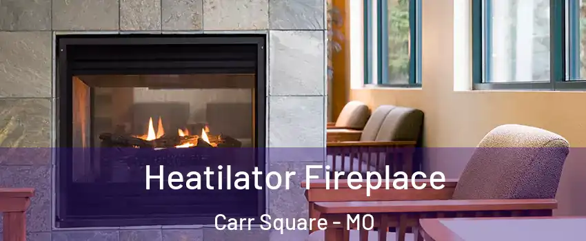 Heatilator Fireplace Carr Square - MO