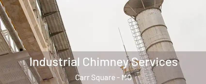 Industrial Chimney Services Carr Square - MO