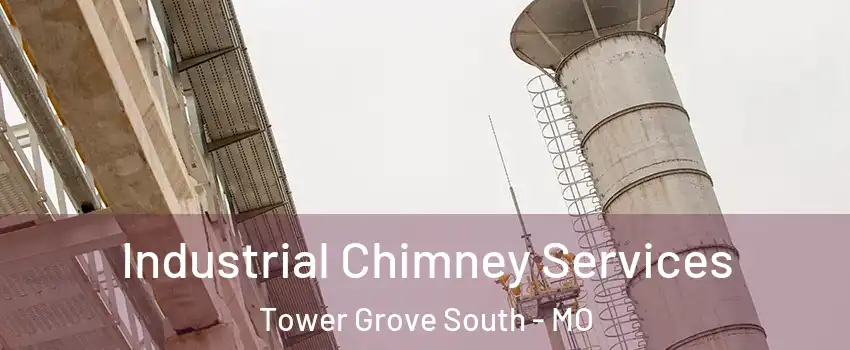 Industrial Chimney Services Tower Grove South - MO