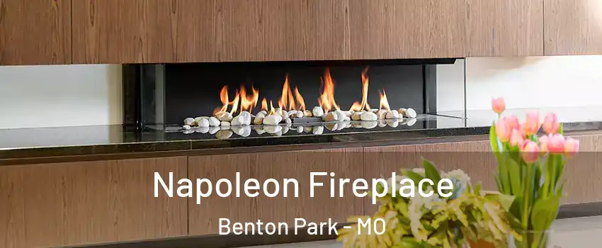 Napoleon Fireplace Benton Park - MO