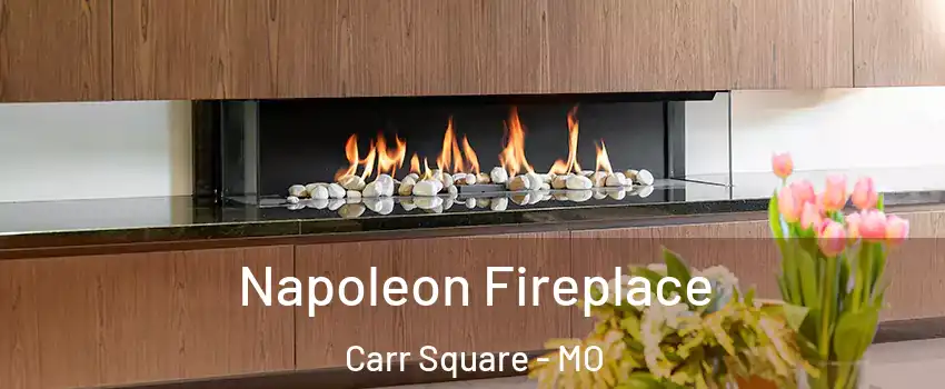 Napoleon Fireplace Carr Square - MO