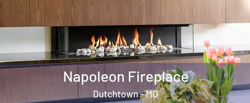 Napoleon Fireplace Dutchtown - MO