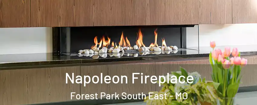 Napoleon Fireplace Forest Park South East - MO