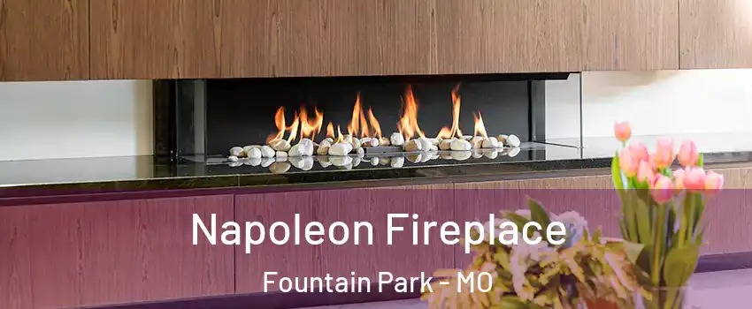 Napoleon Fireplace Fountain Park - MO