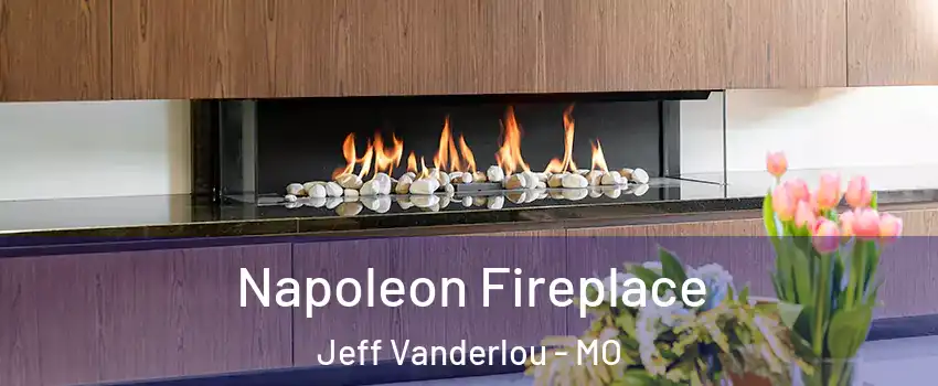 Napoleon Fireplace Jeff Vanderlou - MO