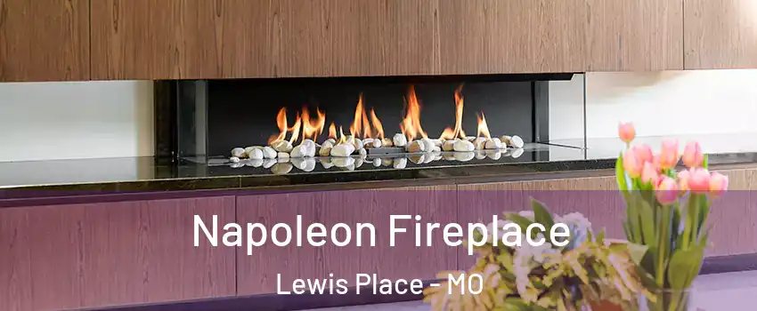 Napoleon Fireplace Lewis Place - MO