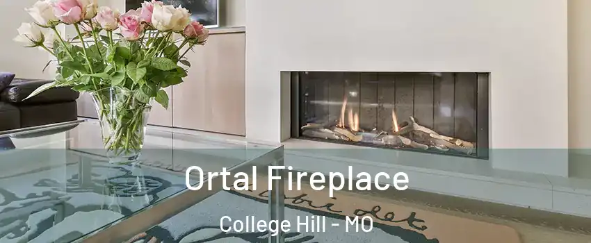 Ortal Fireplace College Hill - MO