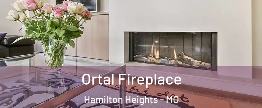 Ortal Fireplace Hamilton Heights - MO